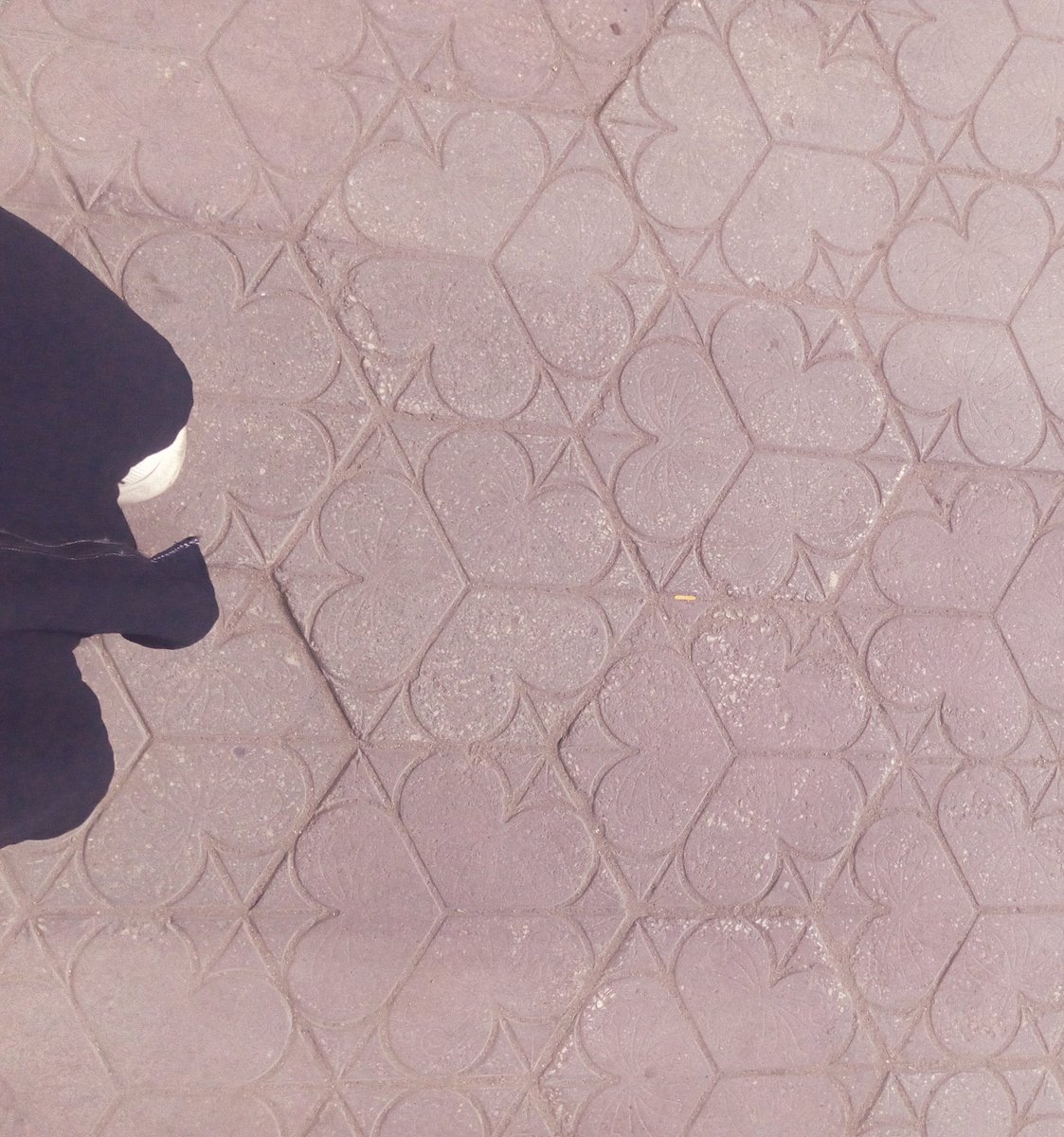 mahayehia's tweet image. It's uncommon and very beautiful, I think! ☘️🤍
#WhileWalking