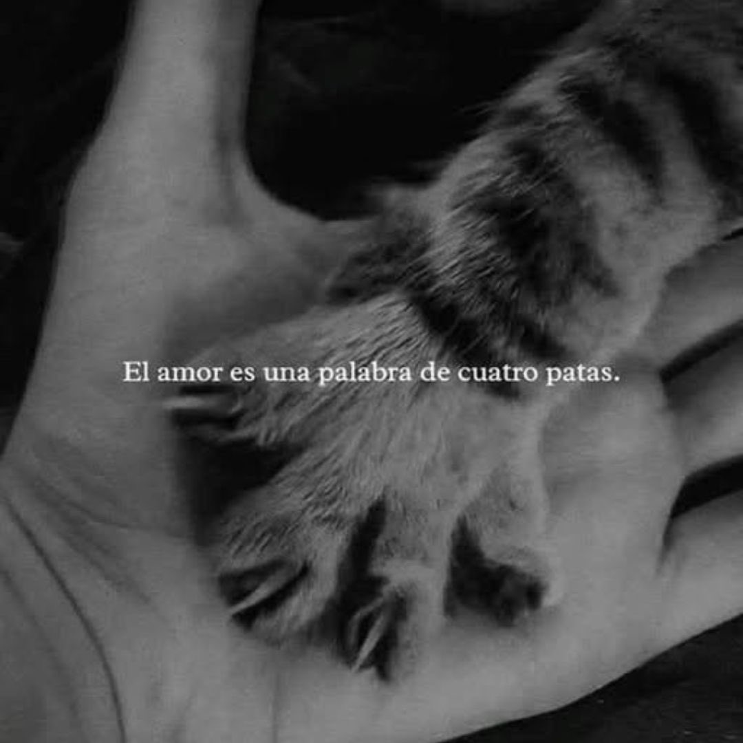 frases sad (@retumbera) on Twitter photo 