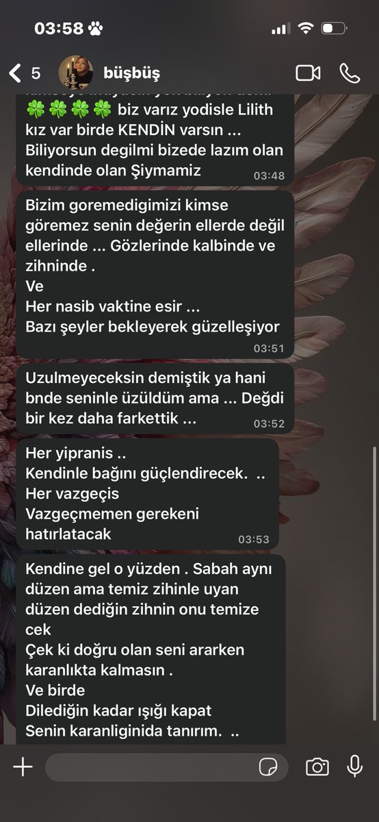 seymaosmanca's tweet photo. Görüldüm kapalı
Ama okuduğumu hissediyor, biliyor
Çünkü karanlığımı da tanır o benim
İşte ben tam olarak bu yüzden yıkılmam https://t.co/h9fBMX1jmL