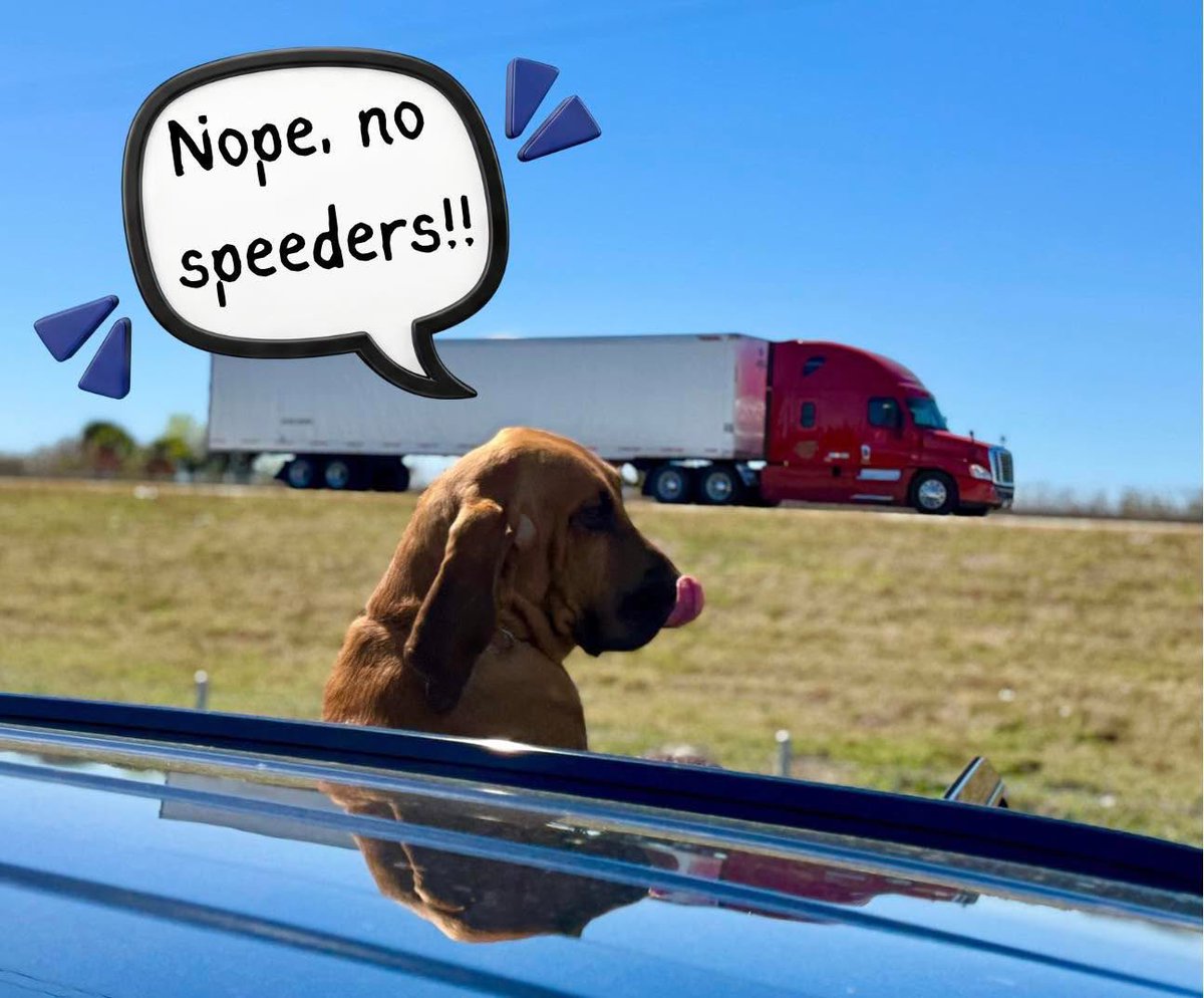 SheriffIvey's tweet photo. In case you were wondering…we’re still out here writing tickets on I-95!!

No camping in the left lane 
Obey the speed limit
No texting and driving
No following too close 
Move Over for emergency and disabled vehicles 

#slowdown #moveover #nowarnings https://t.co/RORnmIMEKV