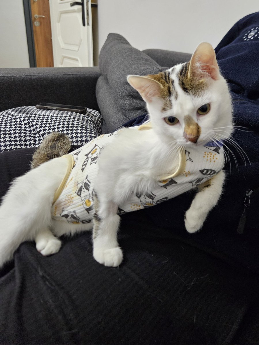 <a href="/d_eryaaaa/">🌱</a> Sakız sayılır mı 🥹🧿