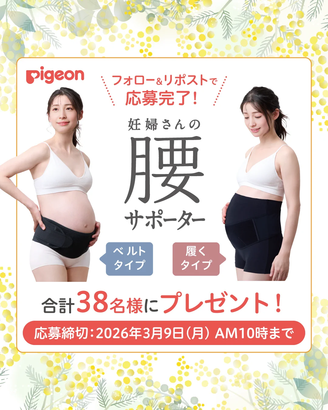健太さん専用ページとなります。 ピジョンインフォ【公式】 on X: 