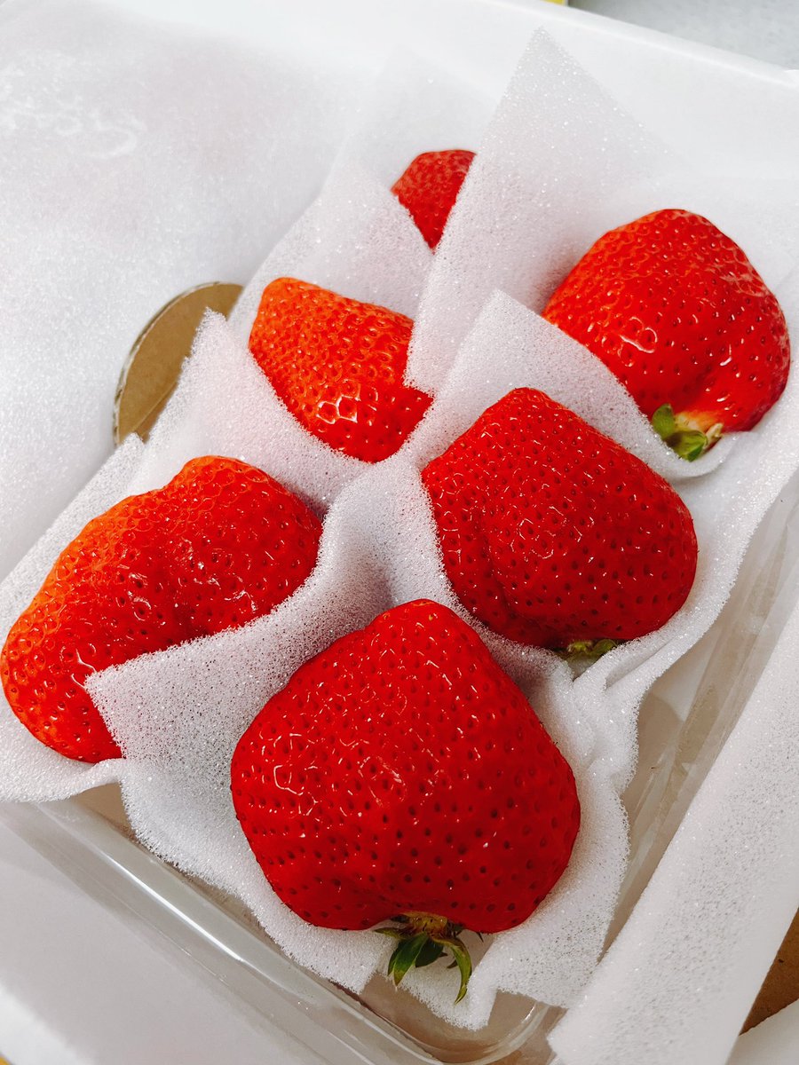 なっちゃん (@natchangame104) / Posts / X