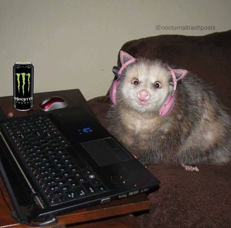 Bueno gente ya ahí server de discord oficial mente para que puedan hablar y subir sus dibujos, pero nada de cochinadas porfa