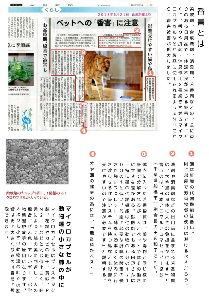 オススメ流れてきたけど。
保護猫いるなら
そもそもアタックゼロつかっちゃかんやろ。
旦那様は、ストレス+肌ストレスで
本来の人の香りが失われたのでは？
#香害は公害 
#健康被害
#環境汚染
#イノセントポリューション