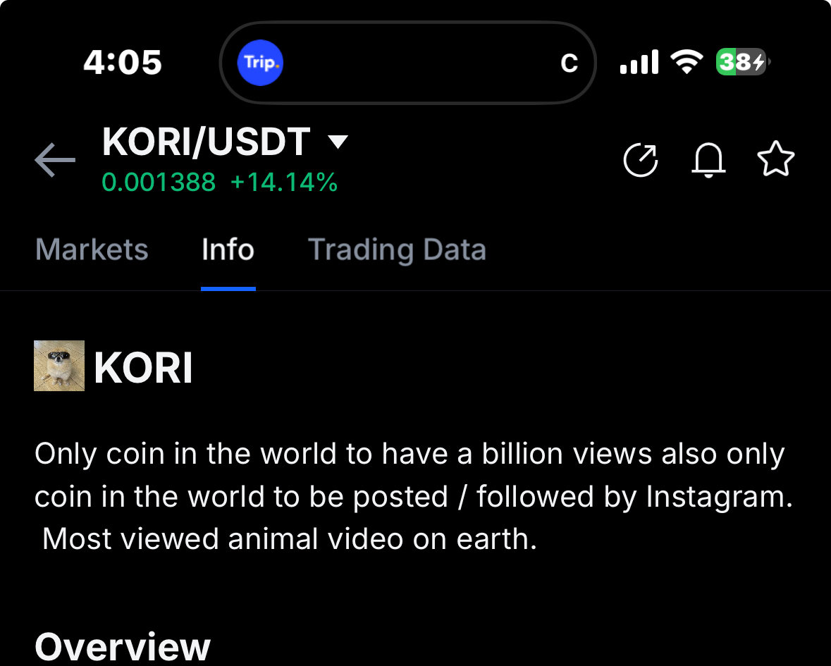 kori tweet media