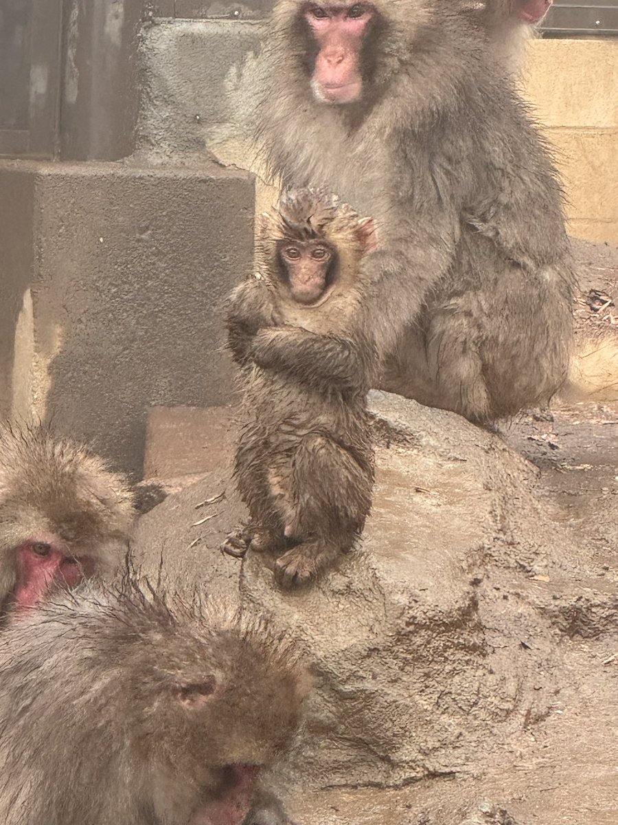 本日は休園日ですがいつもと違う雰囲気を感じたのかセイロくんは少し