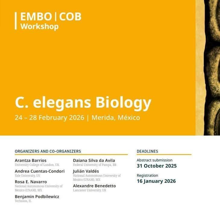 Dra. Gabriela Camargo H. tweet media