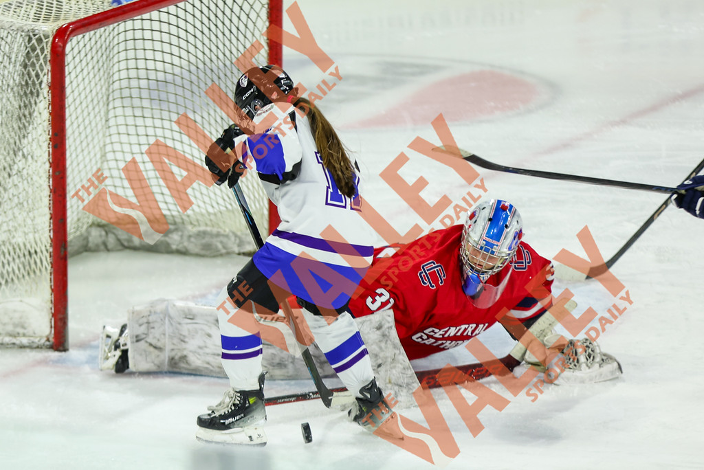 TheValley_Daily's tweet photo. 🏒Photo Gallery: @ShawGirlsHockey vs @CCRaider_sports 
🔗https://t.co/J9gTEvSnPu https://t.co/xo7jZtpLdW