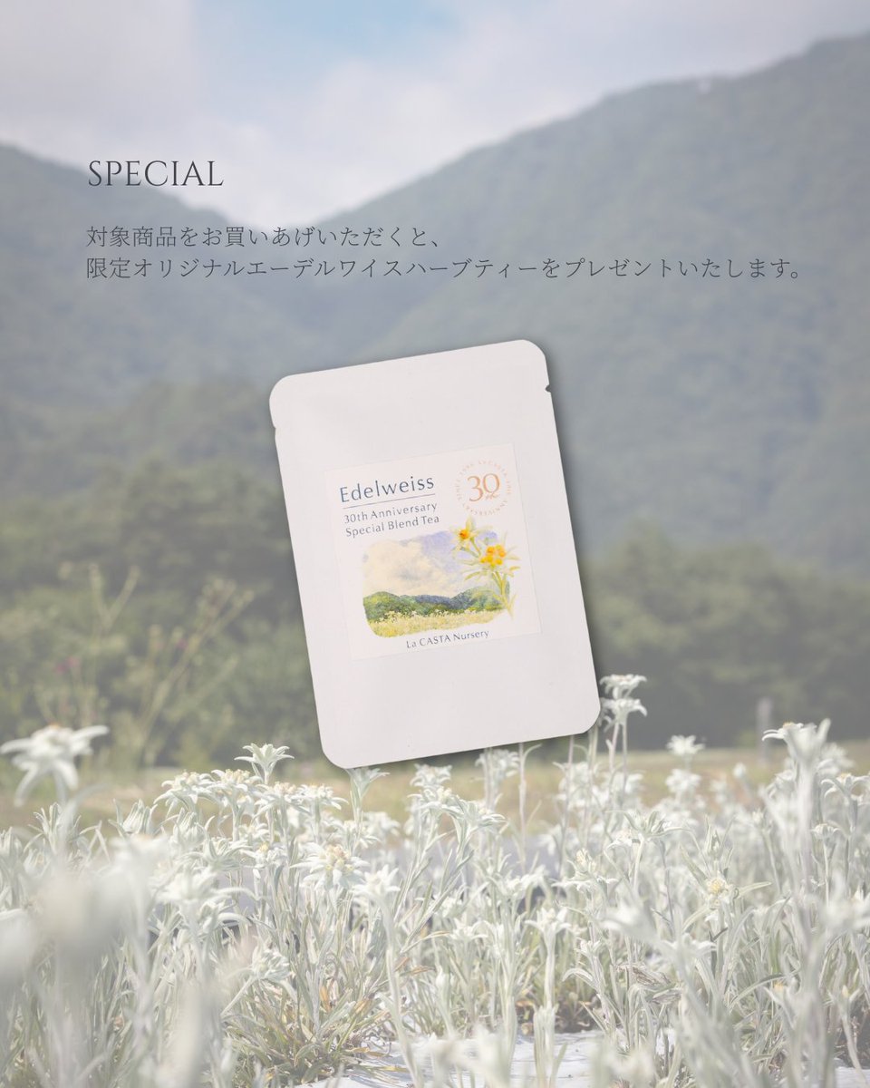 3.4 (水)～ エーデルワイスシリーズ POP UP SHOP ＼ 伊勢丹新宿本店