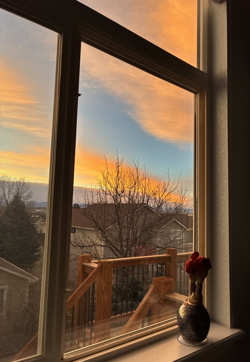 Marc Stout tweet media