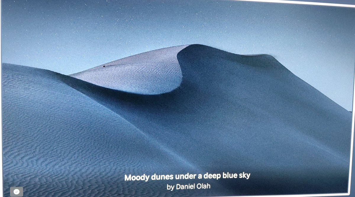 GroovyGrammie's tweet photo. I had no idea that dunes could be moody too... 😎✌️🤣 https://t.co/abwY5HllIz