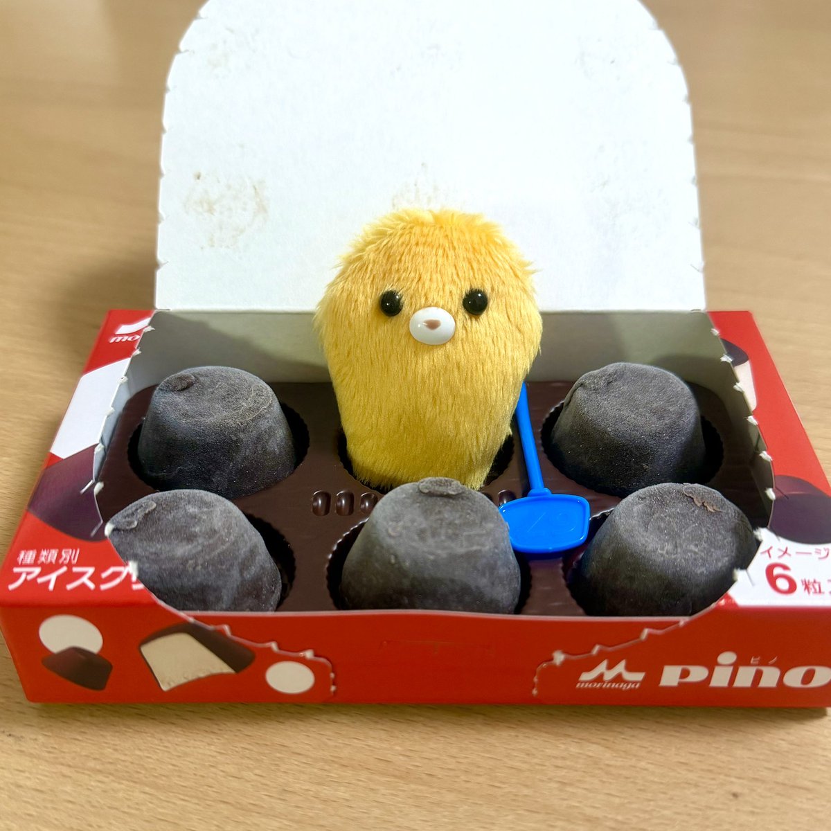 ぬい撮り専用のアカウント (@BdlIcas) / Posts / X