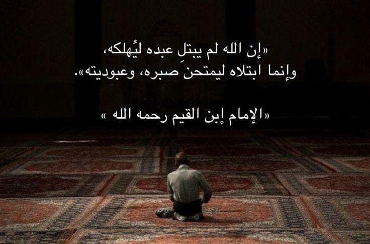 رسيل الخير tweet media