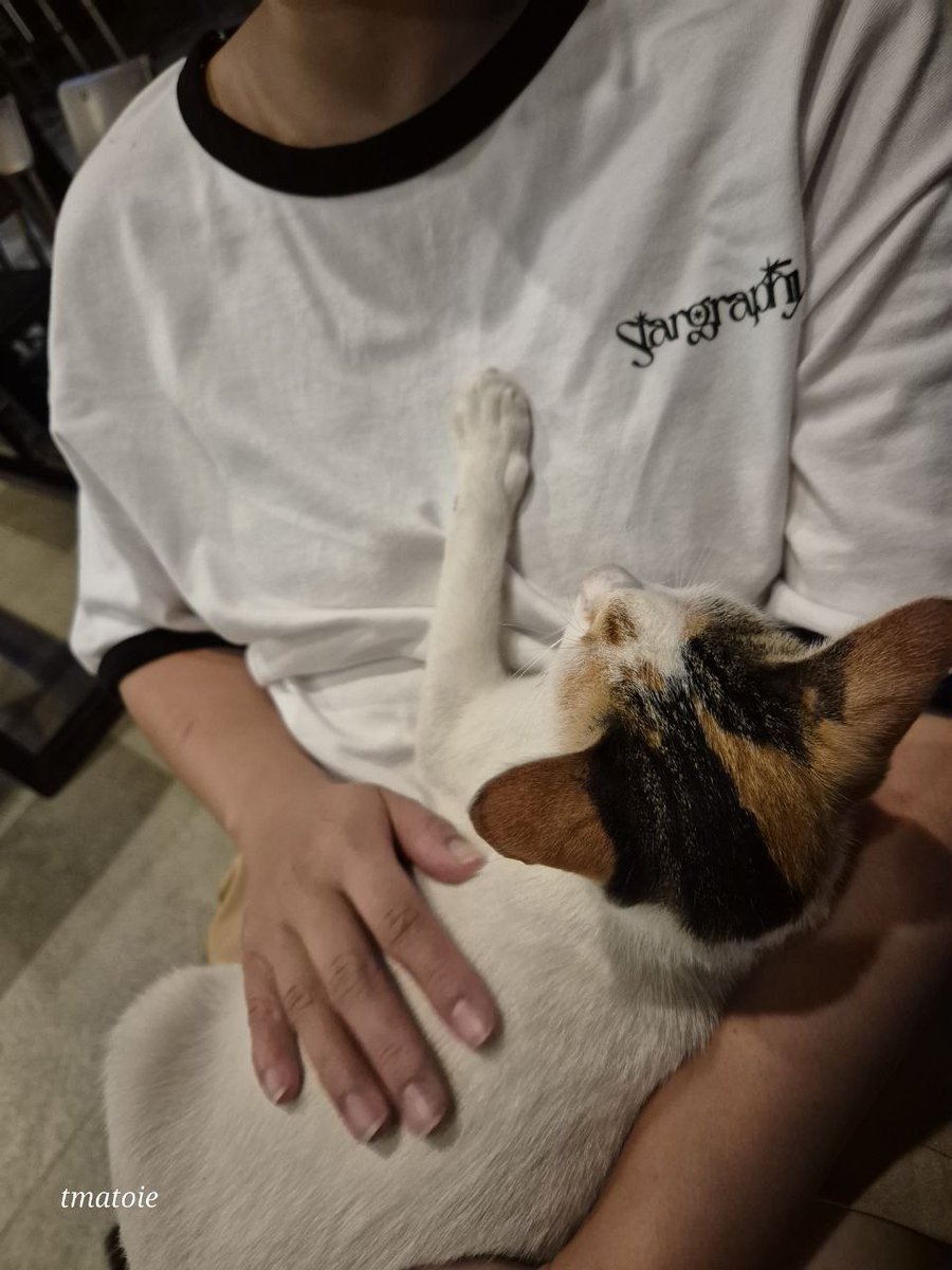 Noona Aika AroHaMonbebe 🌙💫 tweet media