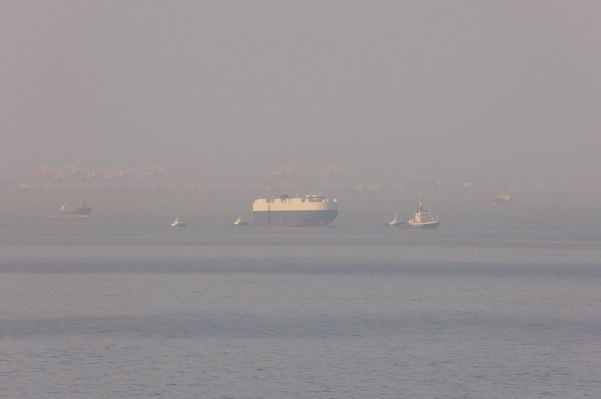 panamaru2 (@panamaru2) / Posts / X