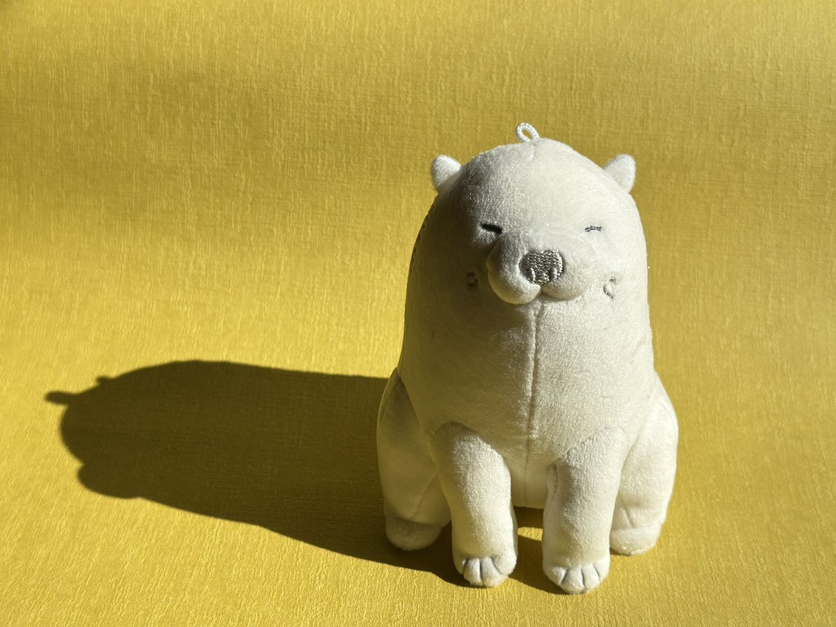 シーグラス (@11sea_glass02) / Posts / X