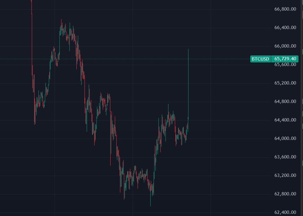 ChimpZoo tweet media