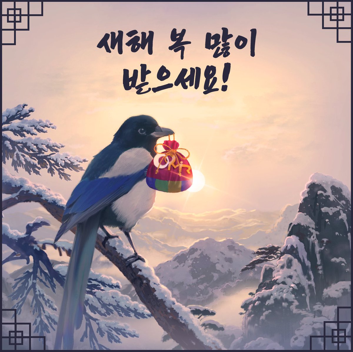 Studio Mir 스튜디오미르 tweet media