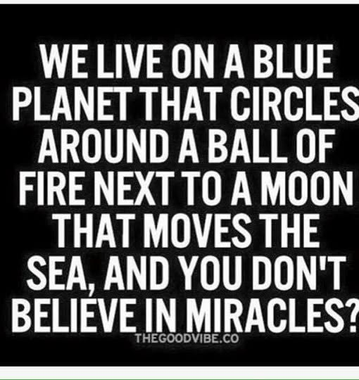 Glynis McCants tweet media