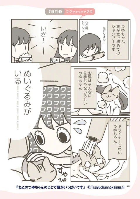 (4/4) 