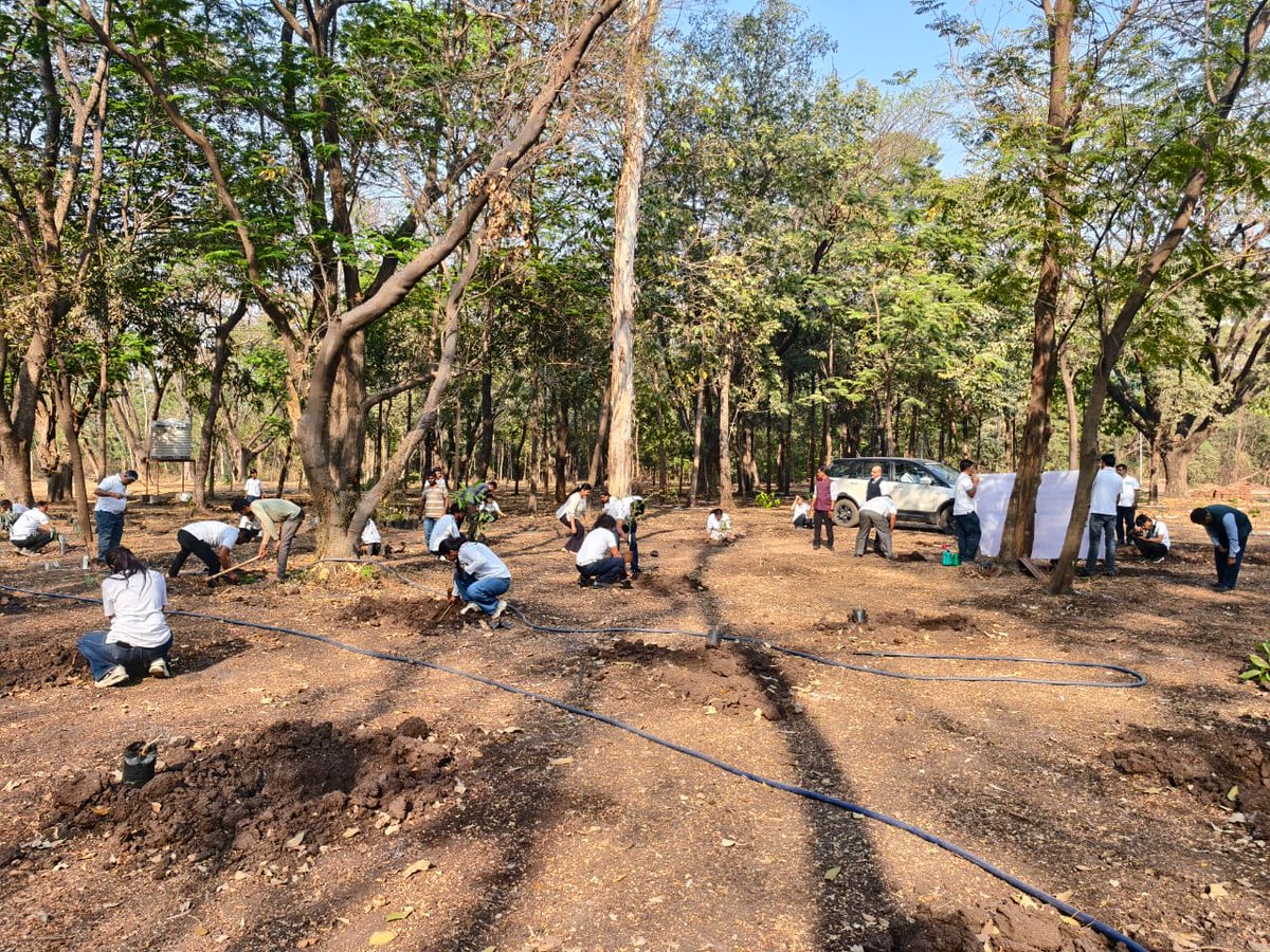 Botanical Survey of India tweet media