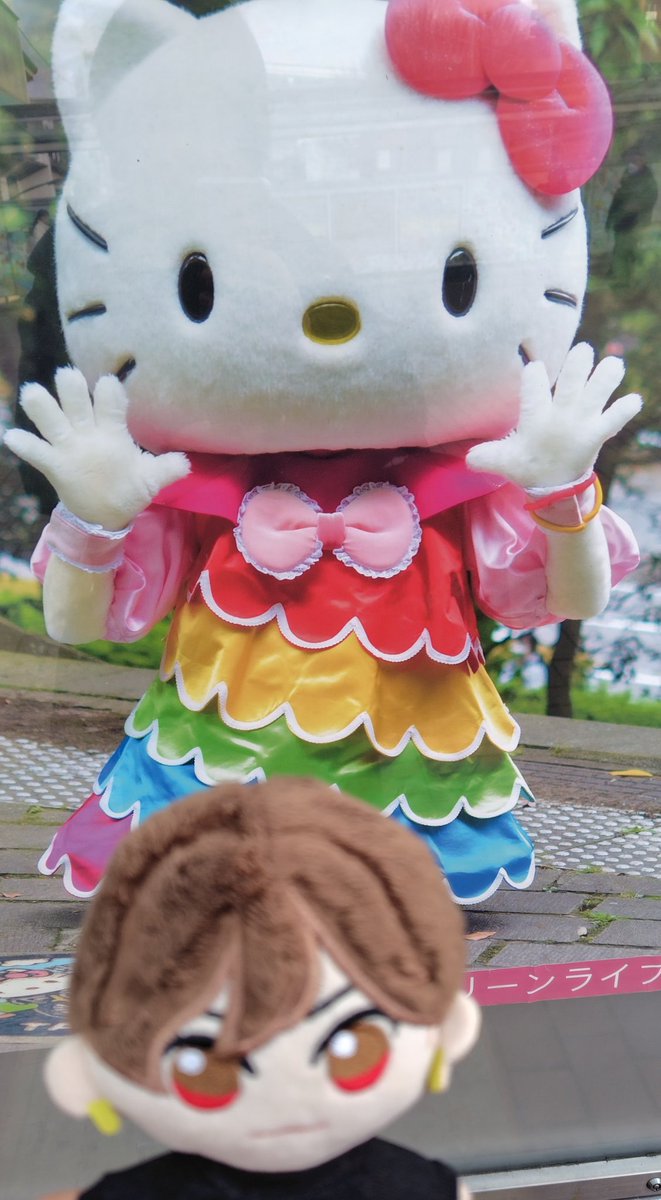 我が家のはしぬいも推し活♥ #橋本良亮