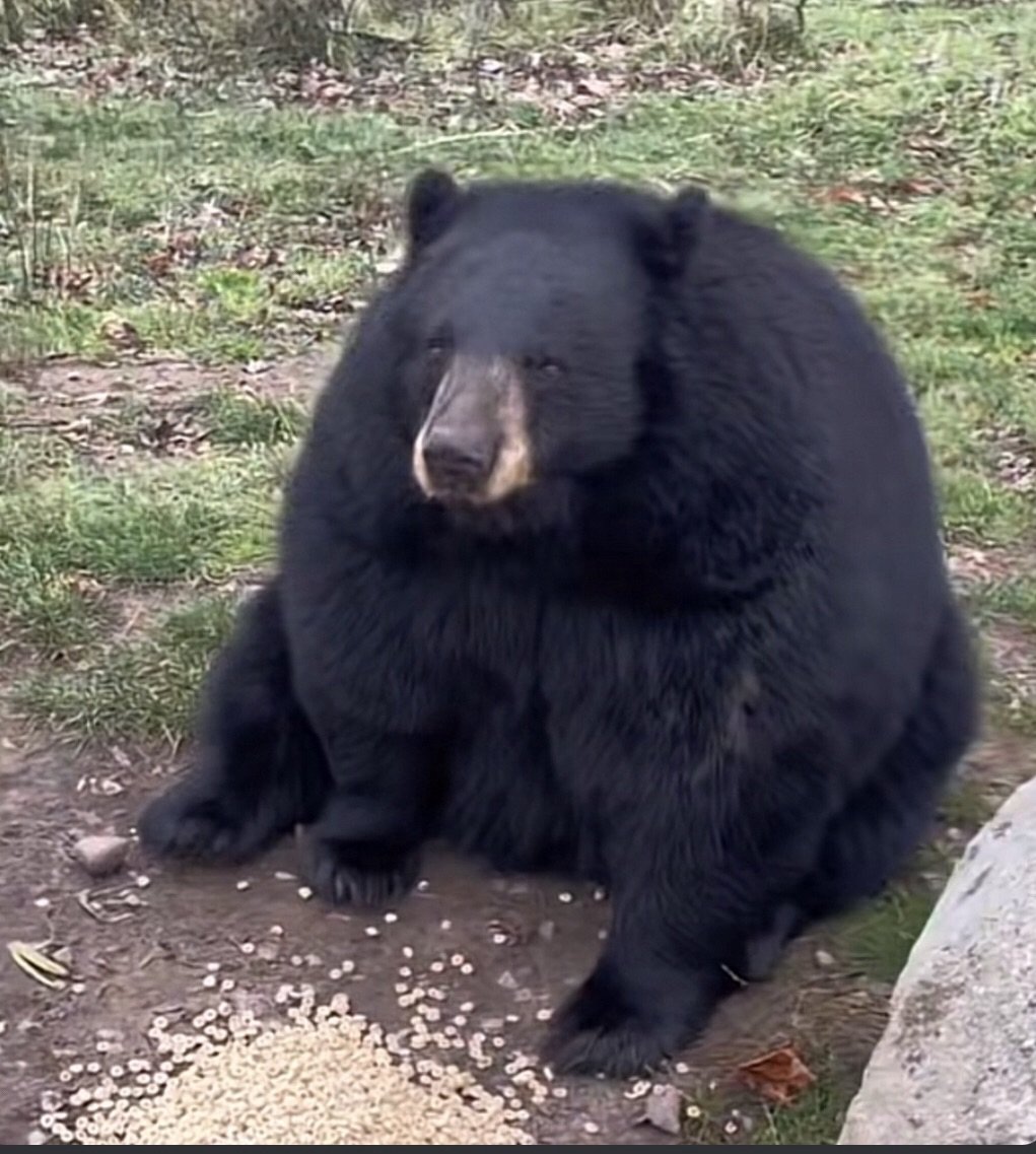 Kevin (@koovven) on Twitter photo 