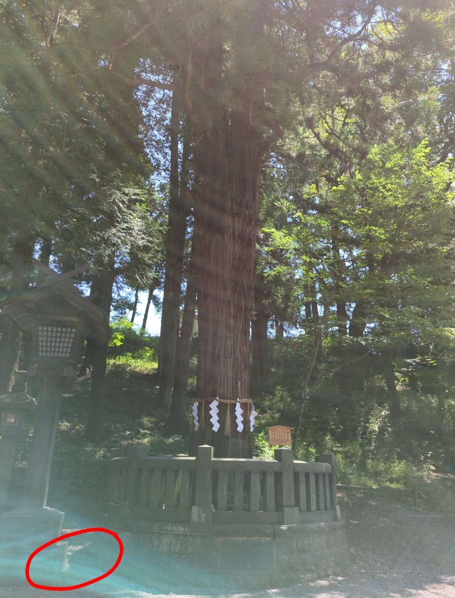 初めて春宮行った時の無加工写真
ｹﾛ帽が見てる