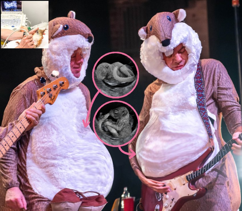 weenmpreg's tweet photo. this is nuts https://t.co/TXHqx6eLG1