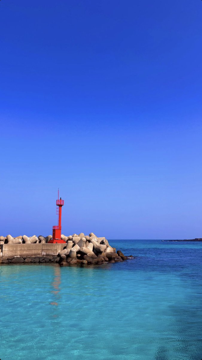 이곳은 벌써 봄이다☺☺