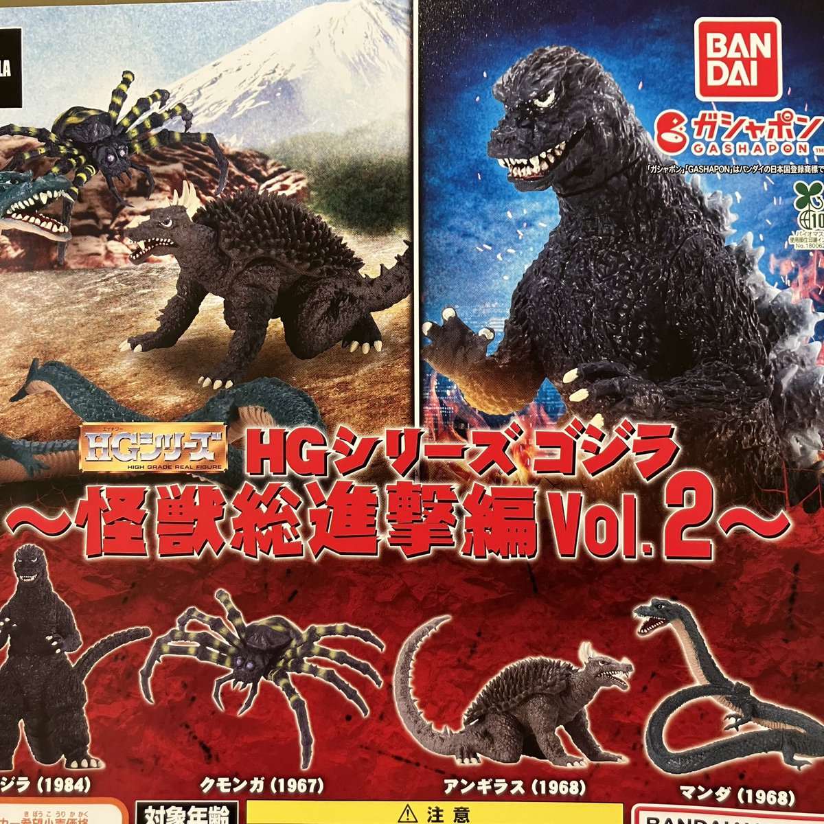 ✨🔄2月13日(金)再入荷情報🔄✨ 人気商品の為欠品していましたが 再