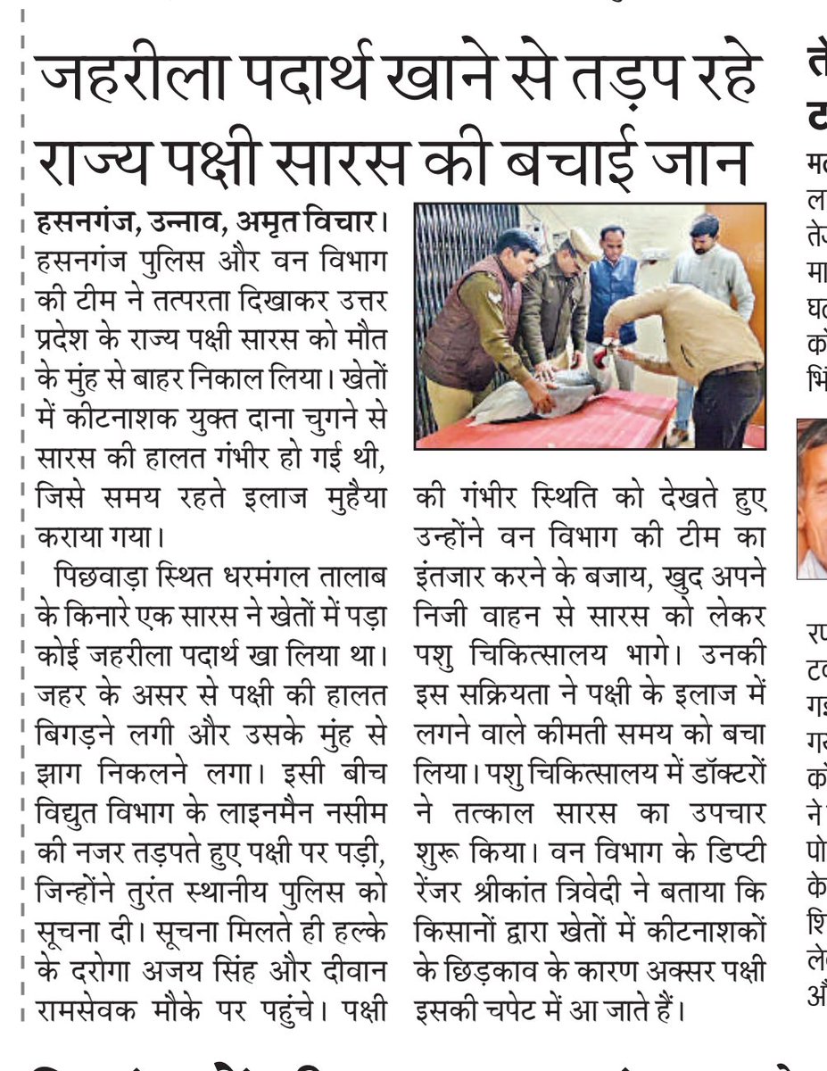 गुड वर्क हसनगंज/उन्नाव पुलिस 🙏🙏👌👌

पुलिस की तत्परता से बची राज्य पक्षी सारस की जान,क्षेत्र में हो रही है सराहना
 <a href="/myogiadityanath/">Yogi Adityanath</a> <a href="/UPGovt/">Government of UP</a> <a href="/dmunnao/">DM/DEO UNNAO</a> <a href="/Uppolice/">UP POLICE</a> <a href="/unnaopolice/">UNNAO POLICE</a> <a href="/ArvindDysp/">Arvind Chaurasia</a>