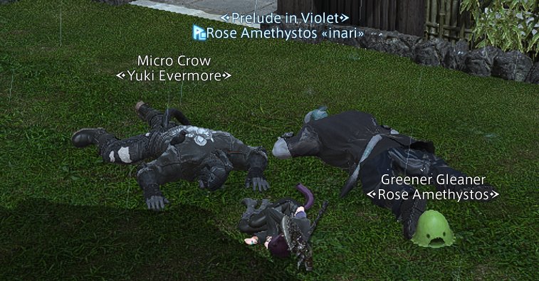 Passed out, totally not dead, cats...