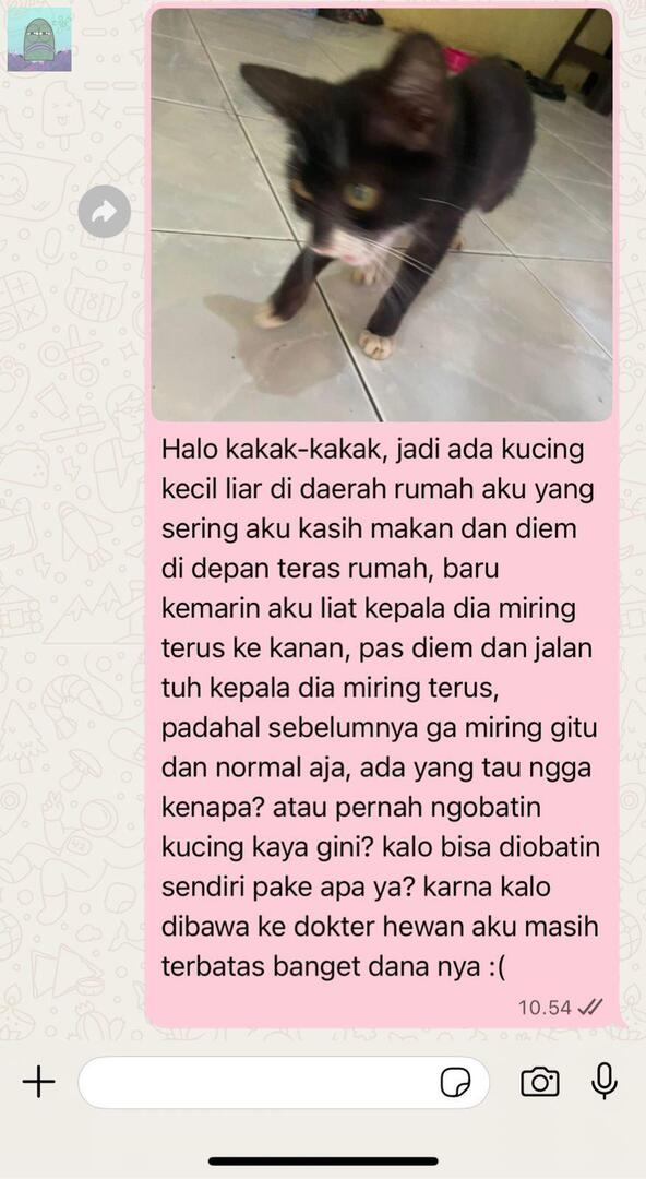 Tanyarl 💚 tweet media