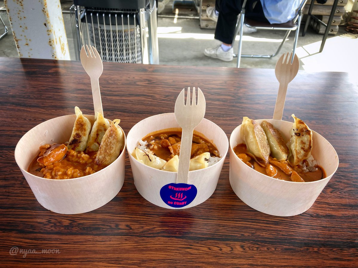 何年か前の岡国に出店していたタンゼンさんの"大湯くん家のカレー"がこれだった。
美味しかったので2日連続で食べた😅