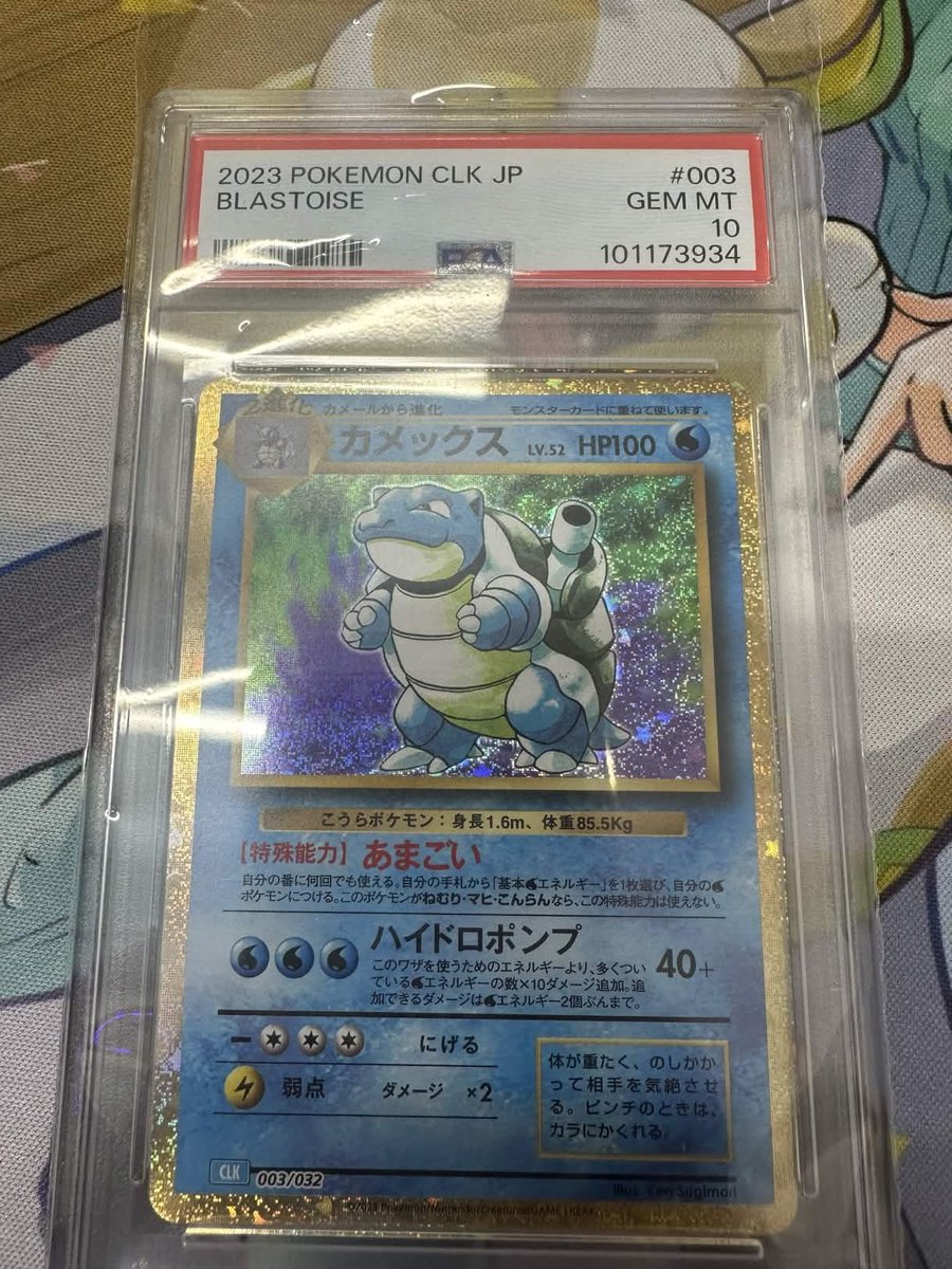 ポケタウンスタッフのオススメ商品をご紹介！🤩 •【PSA10 カメックス
