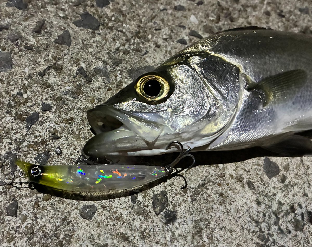 ima (@ima_ams) / Posts / X