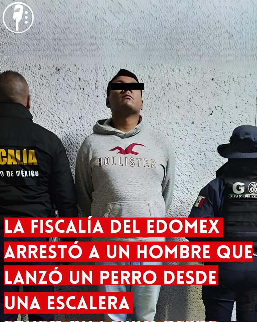 ⭕ OJO | LA FISCALÍA DEL EDOMEX ARRESTÓ A UN HOMBRE QUE LANZÓ UN PERRO DESDE UNA ESCALERA 

Un hombre fue detenido en Naucalpan por lanzar un perro desde una escalera. La Fiscalía del Edomex (<a href="/FiscaliaEdomex/">Fiscalía Edoméx</a>) actúa contra el maltrato animal y busca justicia para “Lobito” y otros