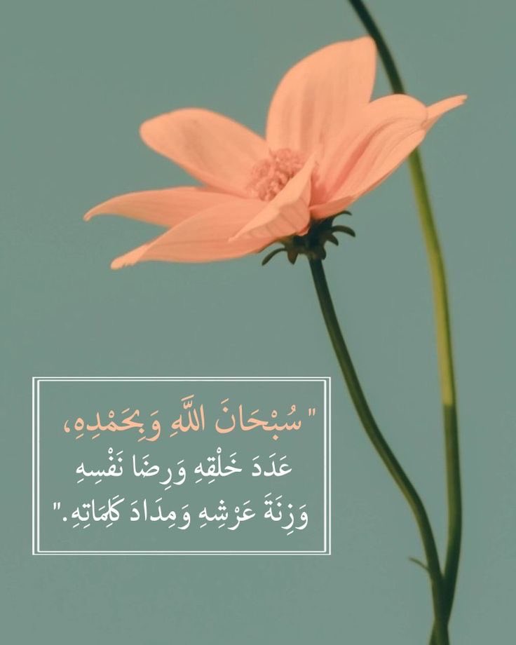 📙

  ،،،،ذِكرٌ  يسير ،،،،
                
                ،،أجرٌ عظيم ،،

،،،كرِرهُ ثلاث مرات،،،

«والذاكرين الله كثيراً والذاكرات »

#صباحكم_جميل_بذكرالله
 
🔸🔸🔸🔸🔸🔸🔸🔸🔸🔸