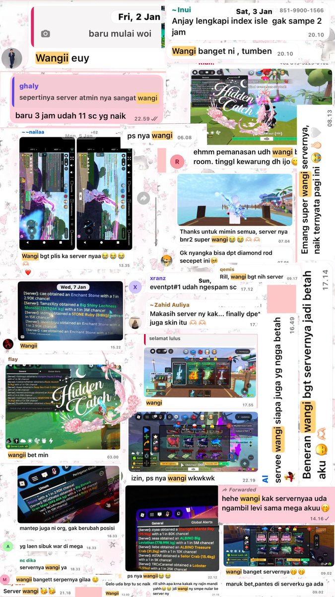 catchie🐳 tweet media