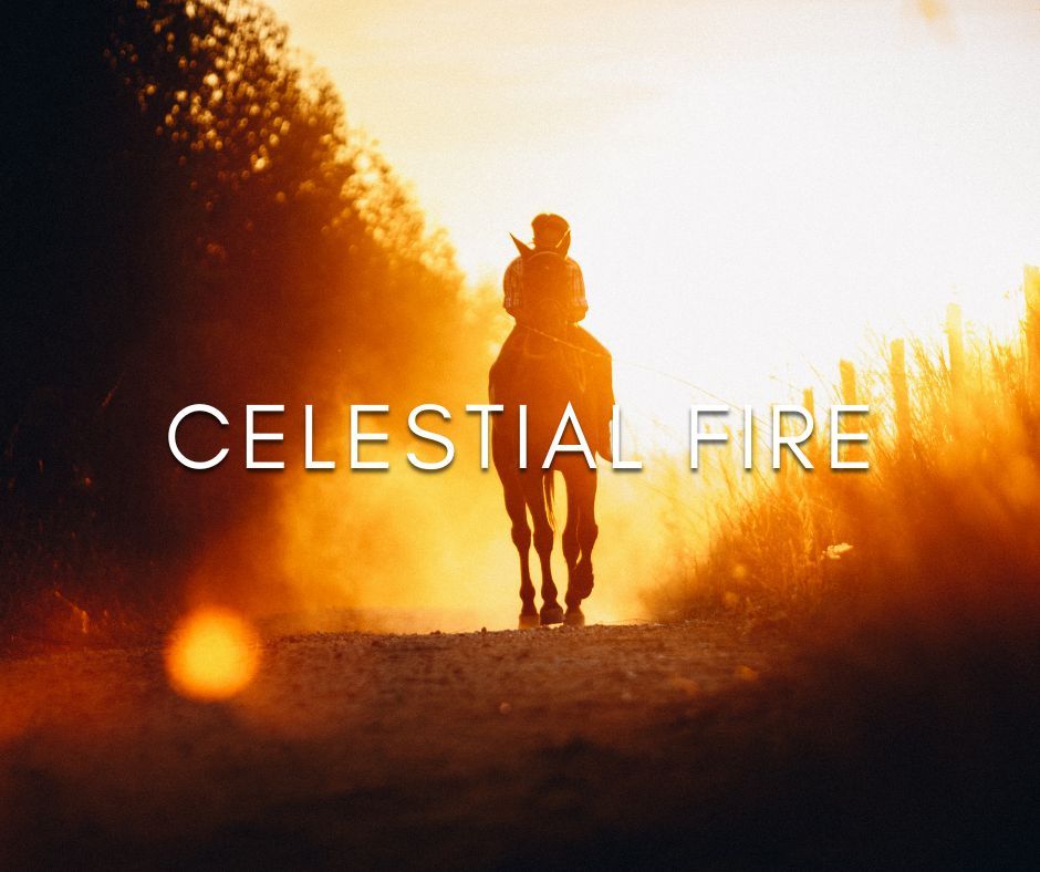 The Gene Keys tweet media