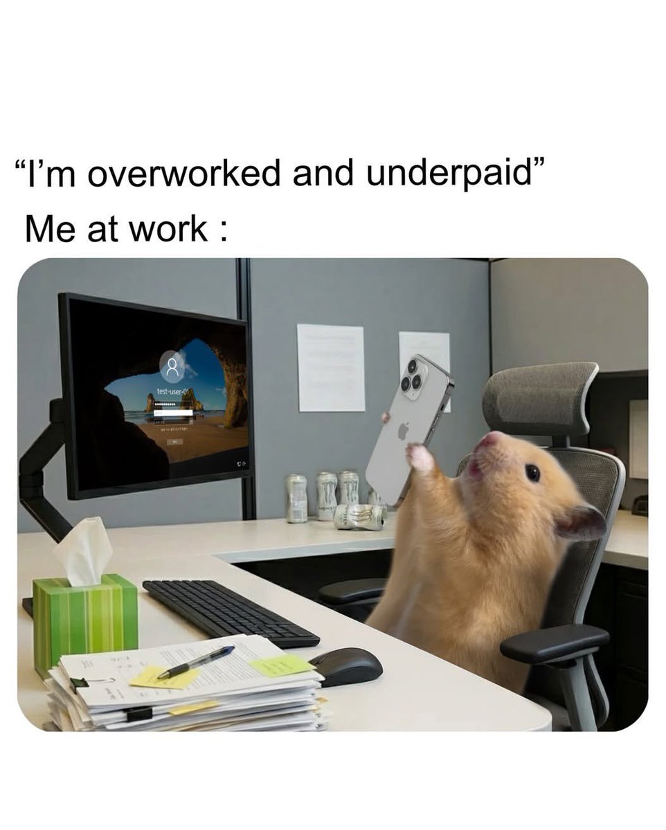 kyuttt🤍 (@sayurlodehh____) on Twitter photo 