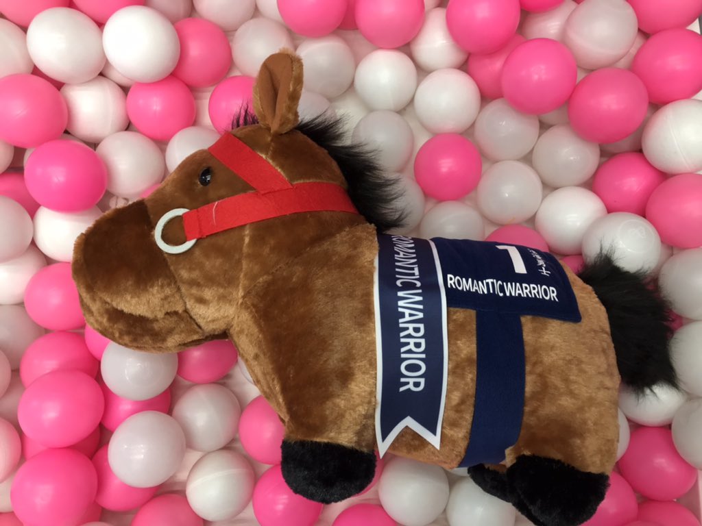 🏇💨 🏆香港カップver.登場✨️✨️ 🐴 サラブレッドコレクション