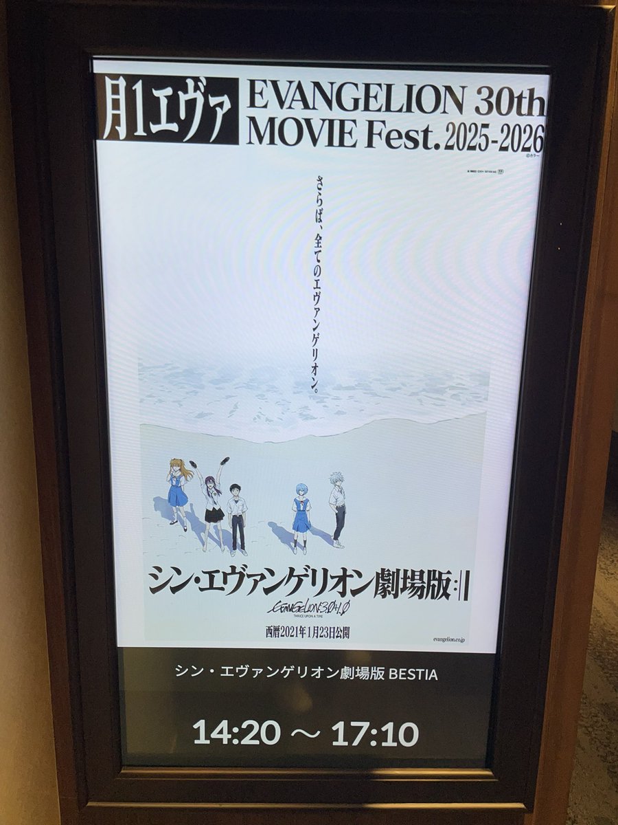 さらば、全てのエヴァンゲリオン(後ろのパンフレットは当時私が手に