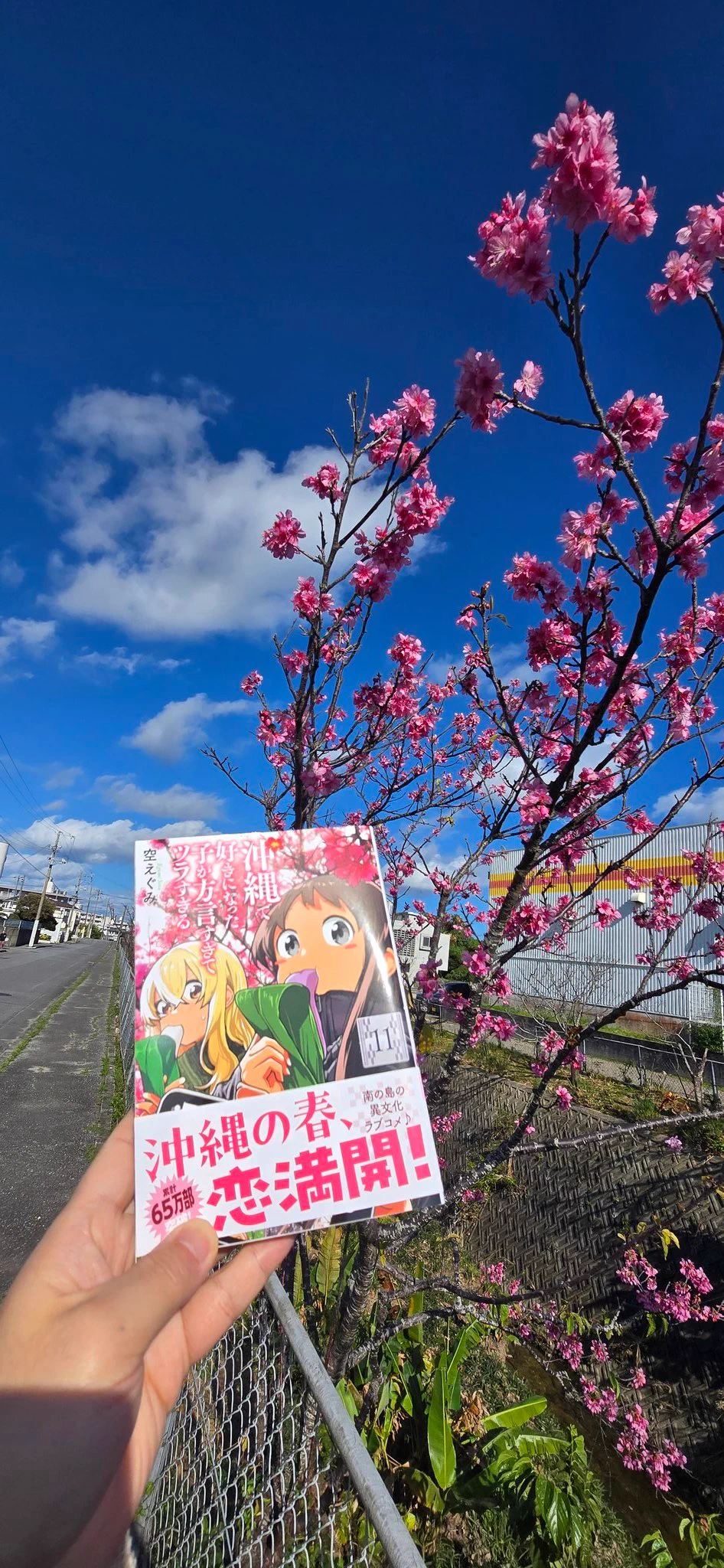 空えぐみ📺YouTube始めました🎥 on X: 