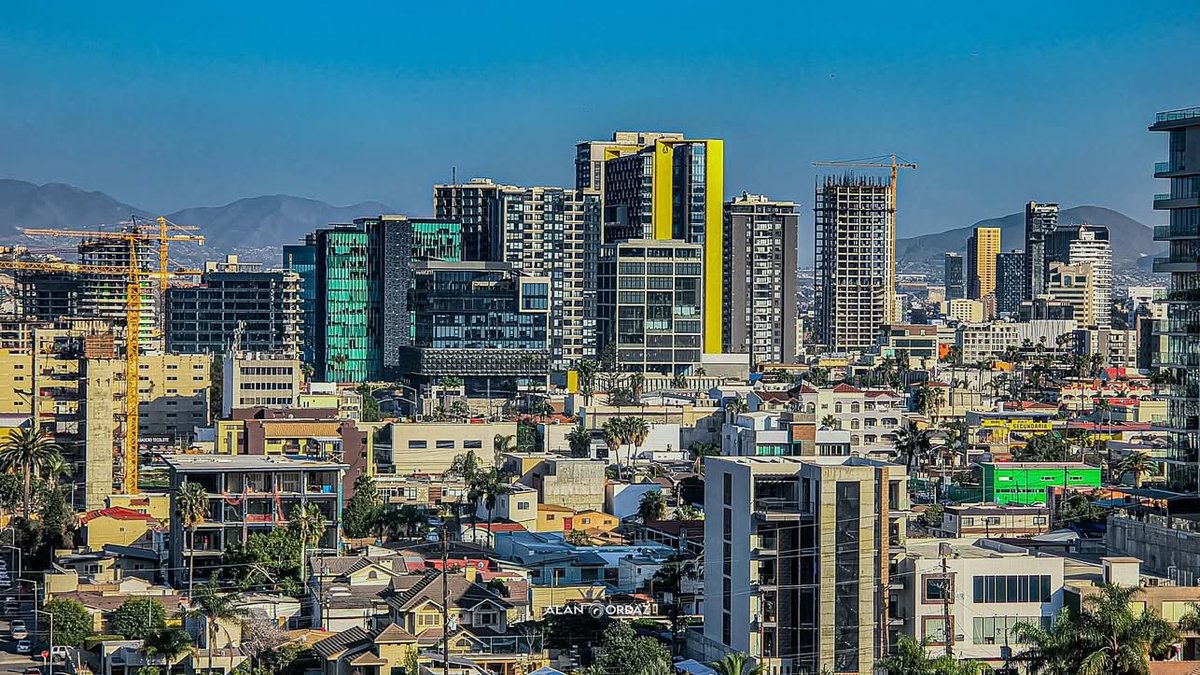 Oscar Castillon (Track) tweet media