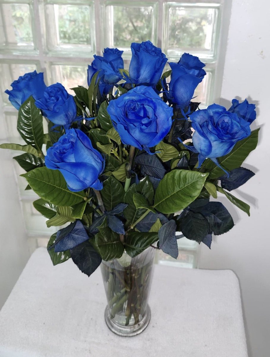 Surf_Florist's tweet photo. Every rose we give is meant to turn a simple moment into something unforgettable — a soft, beautiful way to show love, make someone smile, and remind them they’re thought of in the most special way.

Happy almost Valentine’s Day ❤️! https://t.co/BHUDsbHvgR
