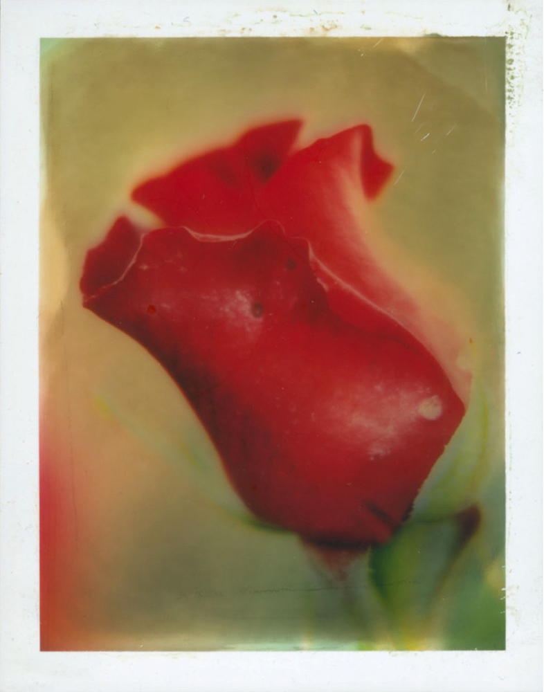 📣【展覧会】ピンホール写真芸術学会会員展「京都展」📍京都写真美術館ギャラリー・ジャパネスク
📅2026/2/17～22
レンズを使わず、長時間露光で撮影する「ピンホールカメラ」のグループ作品展です。各作家それぞれの個性が反映された“スローフォト”の世界をご覧ください。
kyotodeasobo.com/art/exhibition…