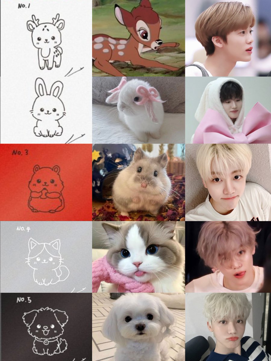 น้องแจมินวาดรูปน่ารักมากเลย หลังการ์ดมีใส่ no. ให้เก็บตามได้ง่าย ไม่ทิ้งโพไหนไว้ข้างหลัง 🫎🐰🐹🐱🐶 555555555555